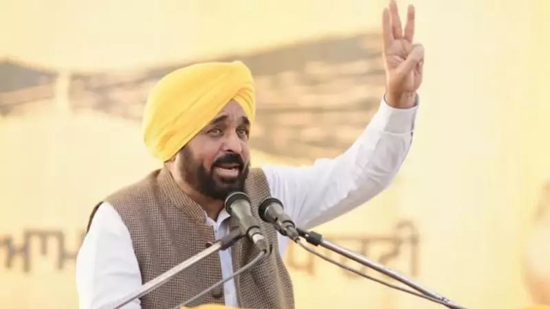 Punjab CM Bhagwant Mann Seeks Japan Partnership for Key Sectors