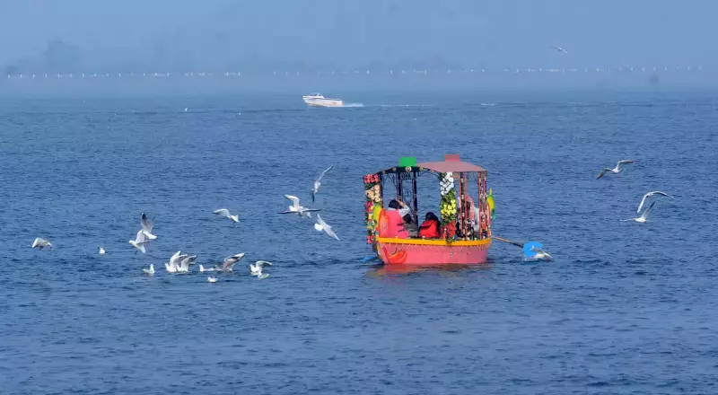 Ranchi's Winter Migration Begins: Flocks Arrive at Local Water Bodies
