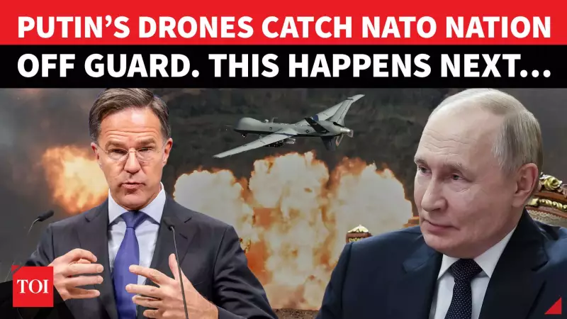 Romania Deploys F-16, Typhoon Jets As Russian Drones Crash in Moldova