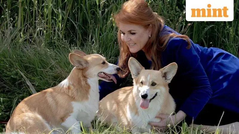 Royal Corgi Update: What Happened to Queen Elizabeth's Beloved Dogs After Andrew's Exit?