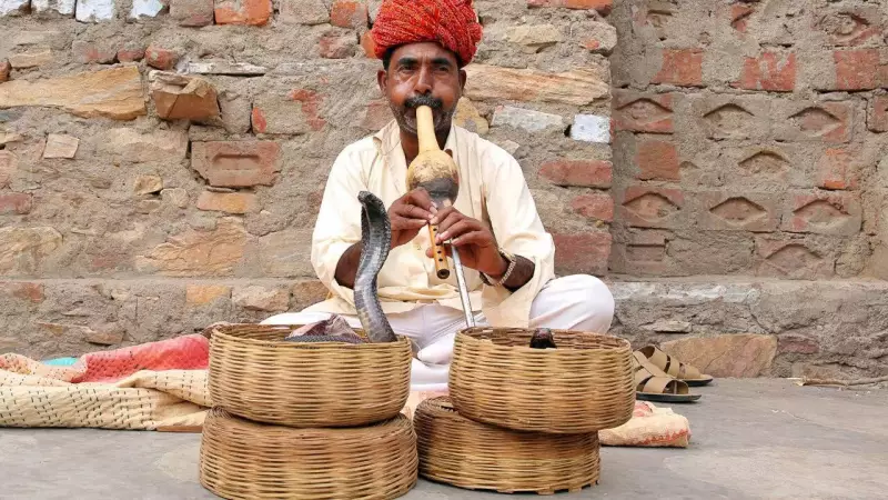 Snakes Can't Hear Music: Science Debunks the Myth of Dancing Cobras