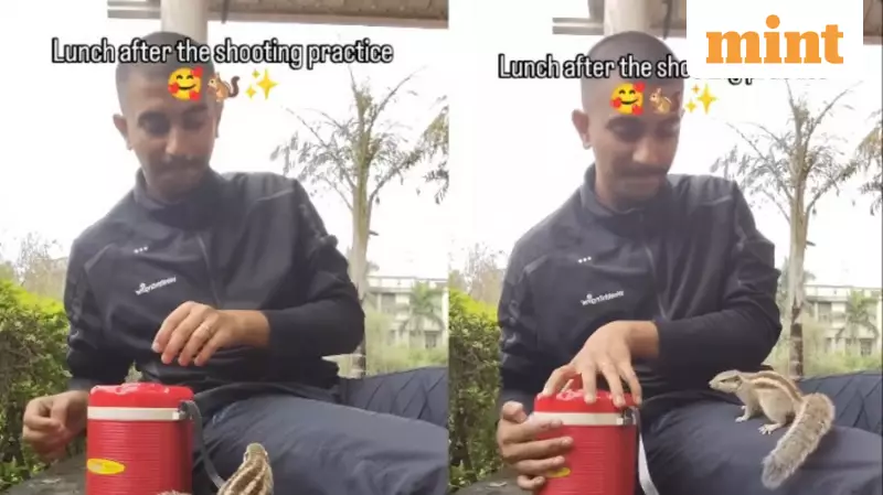 Squirrel Helps Man Open Tiffin in Viral Disney-Like Moment