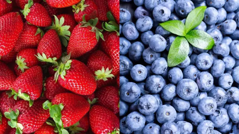 Strawberries vs Blueberries: Which Berry Wins for Health?