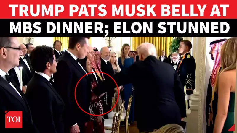 Trump's Surprise Belly Pat to Elon Musk at White House Dinner Sparks Bromance Rumours