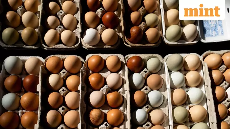 Venky's Q2 Shock: Poultry Giant Plunges into Rs 27 Crore Loss Amid Industry Headwinds