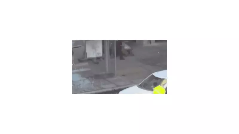 White House Shooting: New Videos Show Chaos, Afghan Suspect Identified