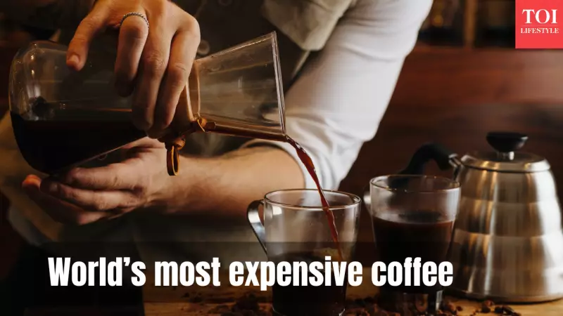 World's Most Expensive Coffee at ₹83,000 Per Cup Brews in India - Kopi Luwak Luxury Experience