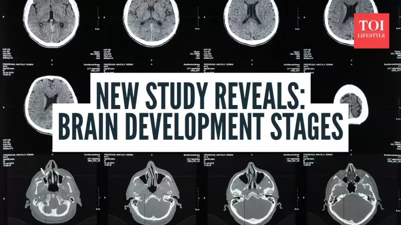 Your Brain Isn't Adult Until 30s: Cambridge Study Maps 5 Life Stages