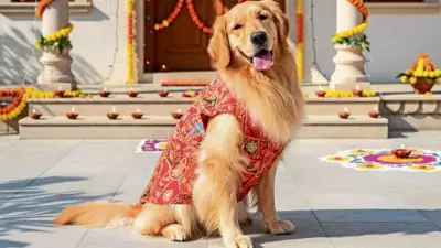 Beyond Bandanas: India's Luxury Pet Fashion Boom Goes Bespoke