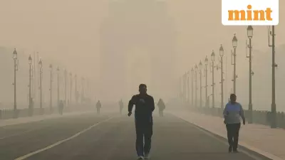 Delhi AQI Improves to 'Very Poor' at 386, But Relief May Be Short-Lived