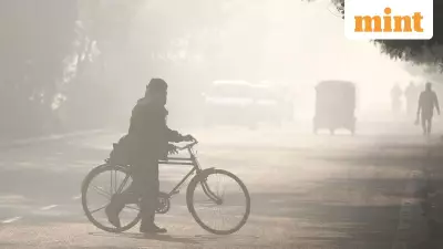 Delhi GRAP 3 Activated: AQI Hits 425, Vehicle Restrictions Explained