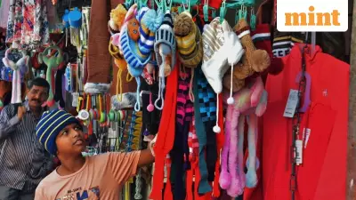 IMD Forecast: Heavy Rains in Chennai, Cold Wave Grips Delhi & Pune