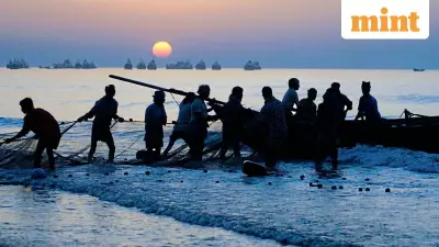 New EEZ Rules Empower Indian Fishers, Boost Deep-Sea Fishing