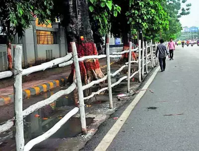 PM Modi's Power-Packed Patna Roadshow & Poll Rallies Set to Electrify Bihar Today!