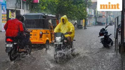 Tamil Nadu Braces for More Rain as IMD Issues Alerts for 12 Districts