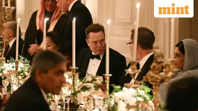 Trump's Friendly Pat on Elon Musk's Tummy at White House Dinner Goes Viral