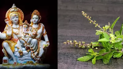 Why Tulsi Leaves Are Not Offered to Lord Shiva and Ganesha