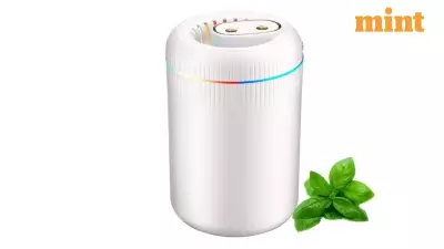Winter Dryness: How Smart Humidifiers Protect Health & Home