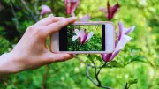 5 Best Plant ID Apps: Discover Your Garden's Secrets with Tech