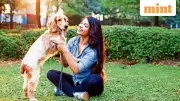 5 Ways to Prevent Cancer in Your Pets: Vet's Guide for Indian Owners
