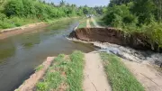 60,000 Coconuts Lost as PAP Canal Breach Floods Tirupur Farms