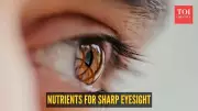 7 Essential Nutrients for Sharp Eyesight in the Digital Age