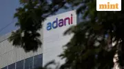 Adani Enterprises Q2 Results: Profits Soar 130% Despite Coal Trade Decline | Key Takeaways