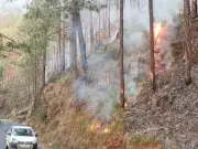 Bageshwar Forest Fires Rage for 3 Days, Threatening Wildlife and Villages