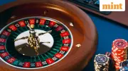 Casino Economy: Why Americans Are Taking Wrong Financial Risks