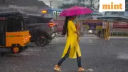 Chennai Rain Alert: IMD Issues Yellow Warning for Tamil Nadu