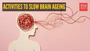 Creativity Fights Brain Aging: Study Reveals 5 Activities That Keep Minds Young
