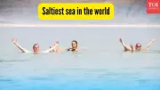 Dead Sea: The World's Saltiest Sea Where You Can't Drown