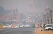 Delhi Air Quality Crisis: 50% Office Attendance & School Sports Banned