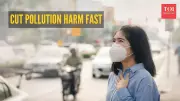 Delhi Doctor's 40-Year Warning: Toxic Air Crisis Demands Action