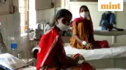India Launches Regional Protein-Rich Food Baskets to Combat TB Crisis