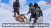 Indian Army to the Rescue: Heartwarming Mission Saves Bear Cub Trapped in Canister