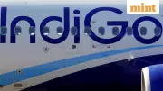 Indigo's Q2 Shock: India's Top Airline Hoards Cash Amid Economic Turbulence