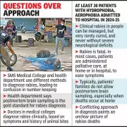 Jaipur Hospital Sees 2-3 Rabies Cases Monthly, Contradicting Govt Claims