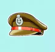 Kleptomania Defense Frees Gujarat Woman from Calangute Shoplifting Case