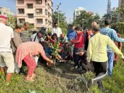 Kolkata's Ecologic Forum Plants 1000 Trees for 4th Year, 4300+ Total