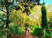 Maharashtra Winter Warms: Cyclone Ditwah to Raise Temperatures by 2-3°C