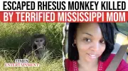 Mississippi Mom's Quick Thinking Captures Wild Rhesus Monkey on Video | TOI
