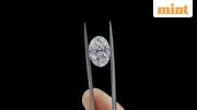 Natural vs Lab Diamonds: India's Sparkling Industry at Crossroads