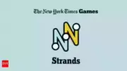 NYT Strands November 14 2025: Answers, Hints & Spangram Revealed