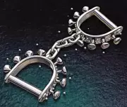 Pernem Forest Dept Arrests Man, Seizes Vehicle for Khaira Tree Smuggling