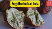 Rediscover India's Lost Treasures: 5 Forgotten Fruits You Must Try Today!