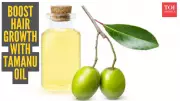 Tamanu Oil for Winter Hair Growth: How to Use It Effectively