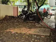 Trichy's ₹1 Lakh Rainwater Harvesting Pits Damaged, Causing Waterlogging