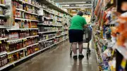 Trump Administration Cuts Food Aid: 42 Million Americans Lose SNAP Benefits - Data Reveals Most Vulnerable Groups