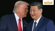 Trump Cuts Fentanyl Tariffs, Freezes China Duties in Major Trade Deal with Xi Jinping